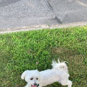 Meet your Posher, Aliyah